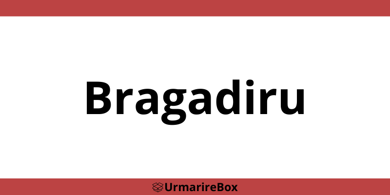 Contact telefon depozit Sameday Bragadiru